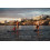 SUP доска Gladiator 10'8'' x 34'' x 6'', MSL, 2018