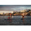 SUP доска Gladiator BL 10'8'' x 34'' x 6'', MSL, 26psi, 2019