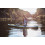 SUP доска Red Paddle Co Ride 10'8" x 34'' Activ (yoga), 2019