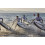 SUP доска Red Paddle Co Elite 12'6'' x 28", 2019