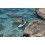 SUP доска Red Paddle Co Sport 11'3" x 32", 2020