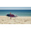 SUP доска Red Paddle Co Ride 10'6'' x 32'', Special Edition, 2020