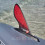 SUP доска Red Paddle Co Max Race 10'6" x 25" (kids), 2020